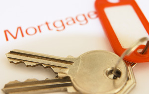 New mortgage taking increased during month of February